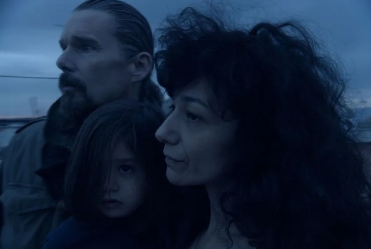 Macaque in the trees