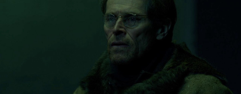 Macaque in the trees