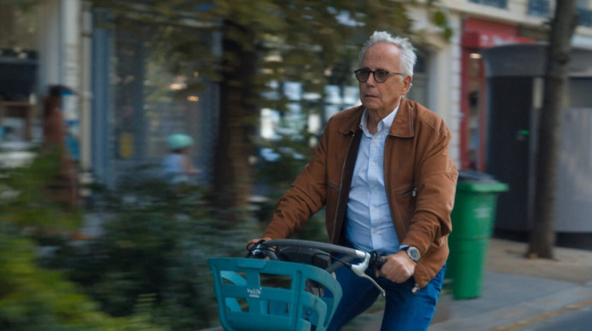 Macaque in the trees