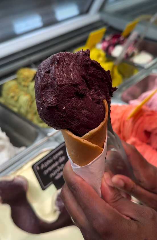 Macaque in the trees