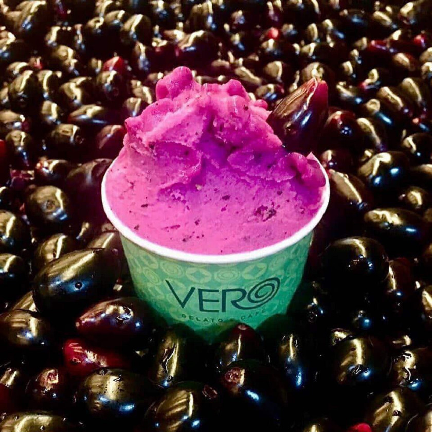 Macaque in the trees