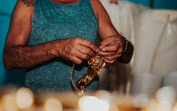 Macaque in the trees