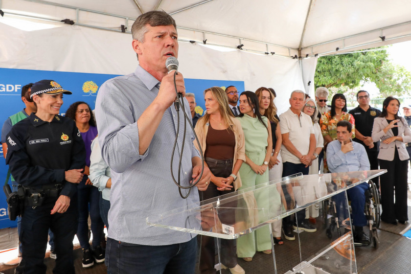Macaque in the trees