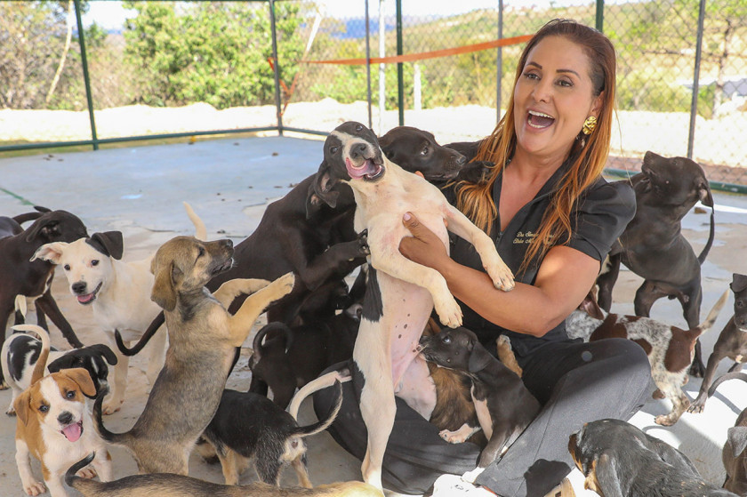 Macaque in the trees