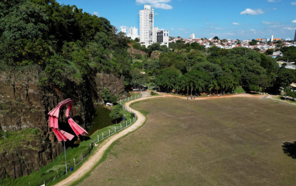 Macaque in the trees