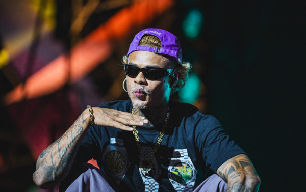 Macaque in the trees