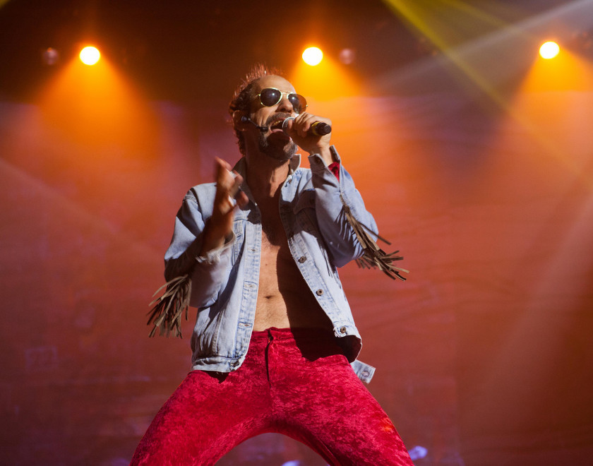 Macaque in the trees