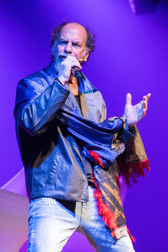 Macaque in the trees