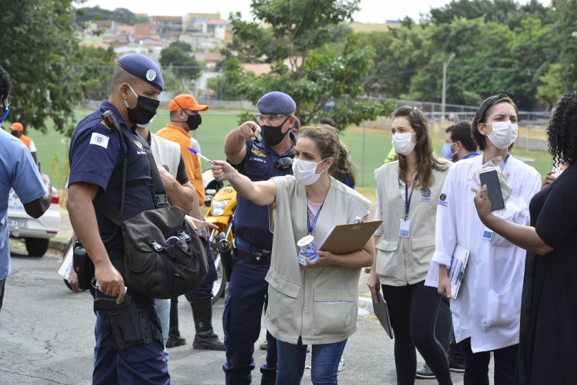 Macaque in the trees