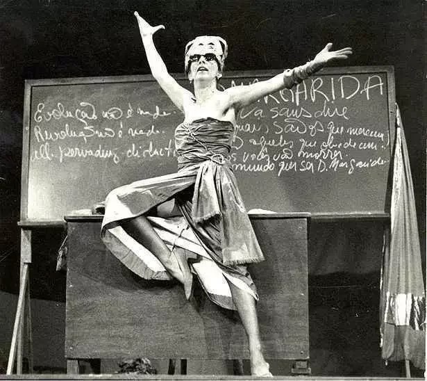 Macaque in the trees