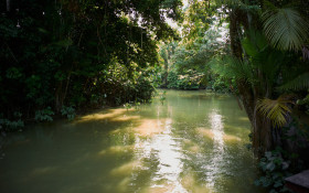 Amaz&ocirc;nia registra menor desmatamento em 10 anos no primeiro semestre