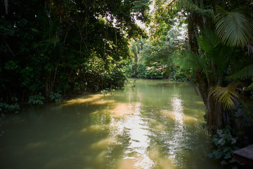 Amaz&ocirc;nia registra menor desmatamento em 10 anos no primeiro semestre