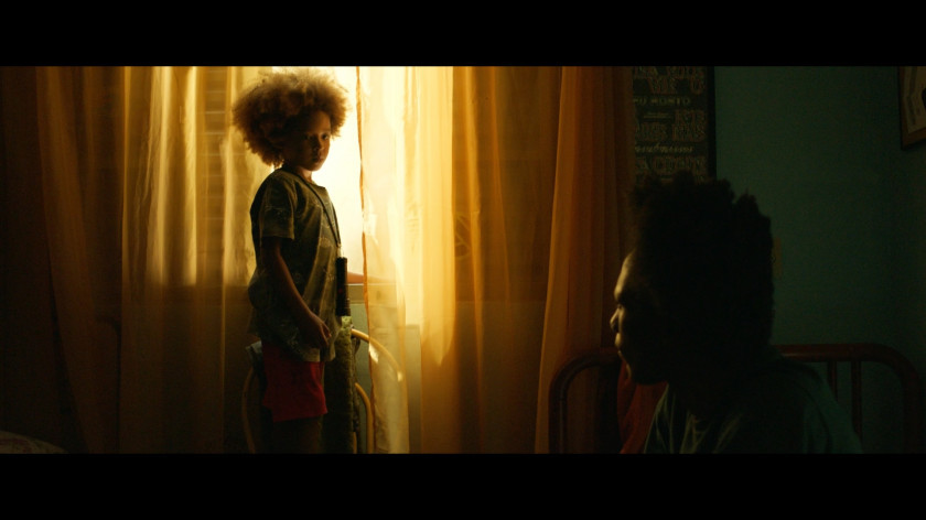 Macaque in the trees