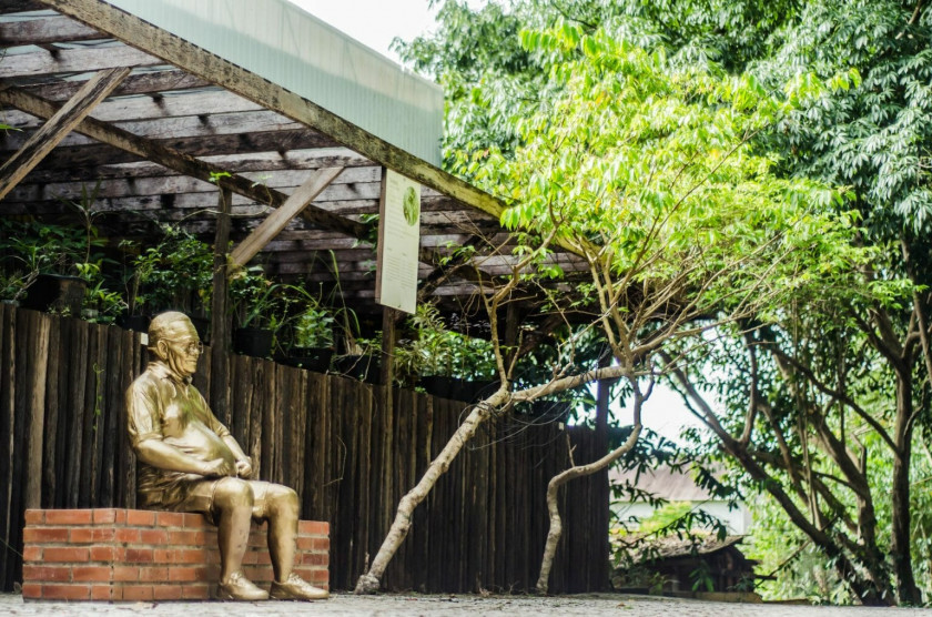 Macaque in the trees