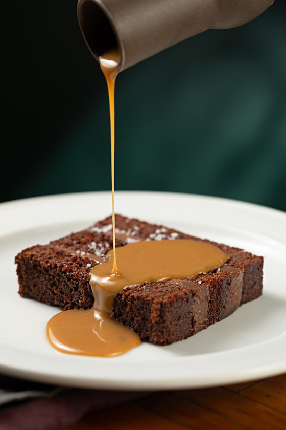 Macaque in the trees