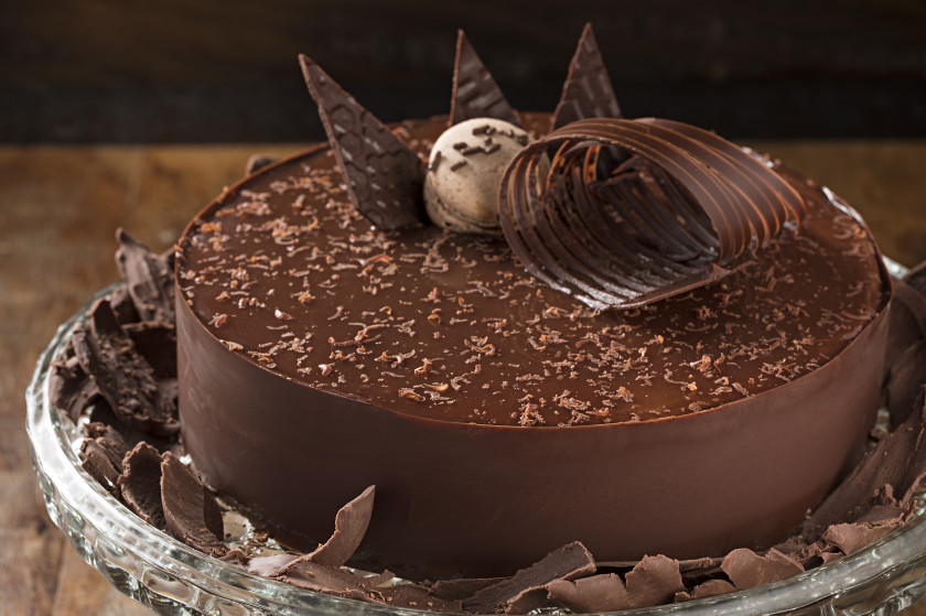 Macaque in the trees