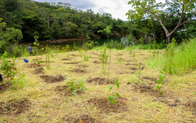 BRASILIANAS | Serrinha do Parano&aacute;: ber&ccedil;o das &aacute;guas do lago recebe a&ccedil;&atilde;o in&eacute;dita