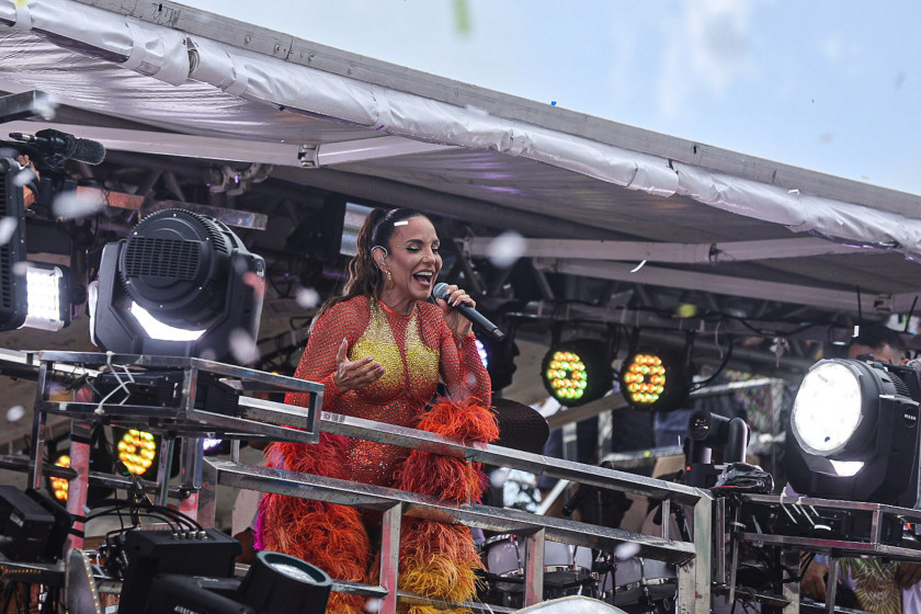 Macaque in the trees