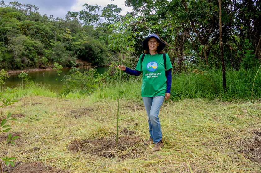 Macaque in the trees