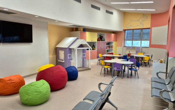 Macaque in the trees