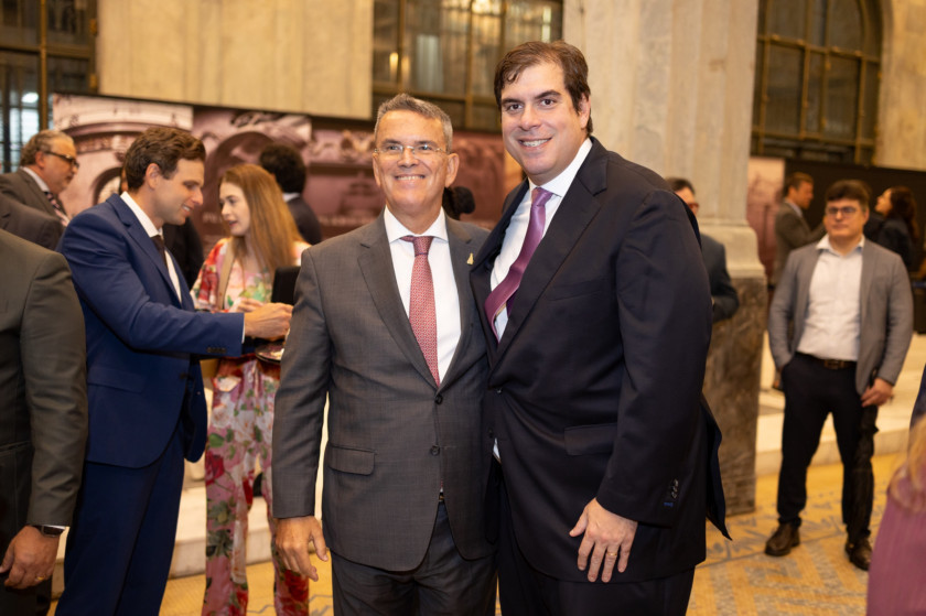 Macaque in the trees