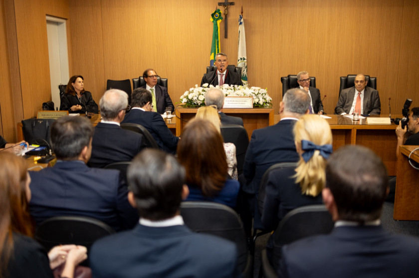 Macaque in the trees