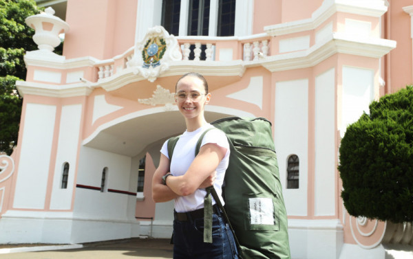 Macaque in the trees