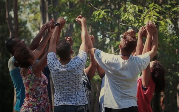 Macaque in the trees