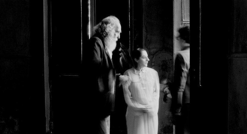 Macaque in the trees