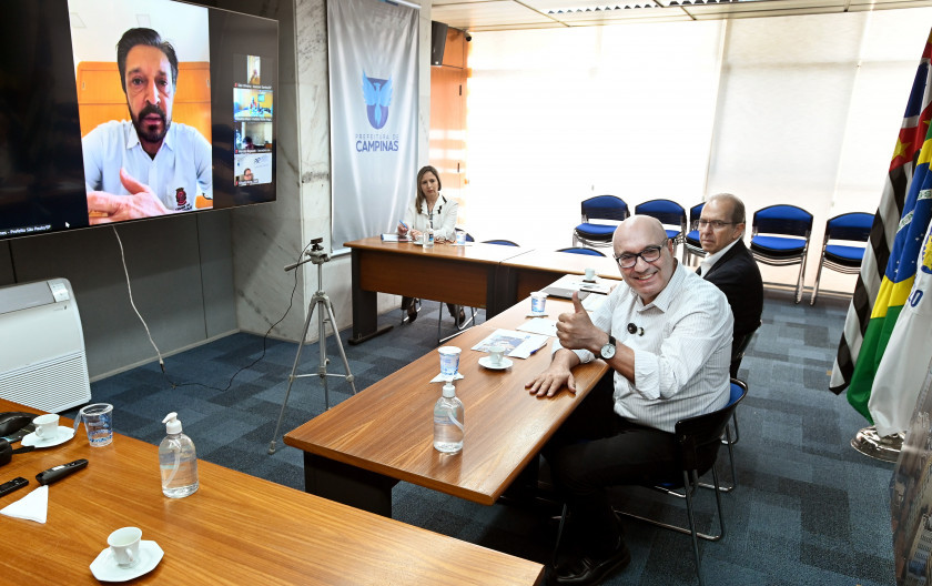 Macaque in the trees