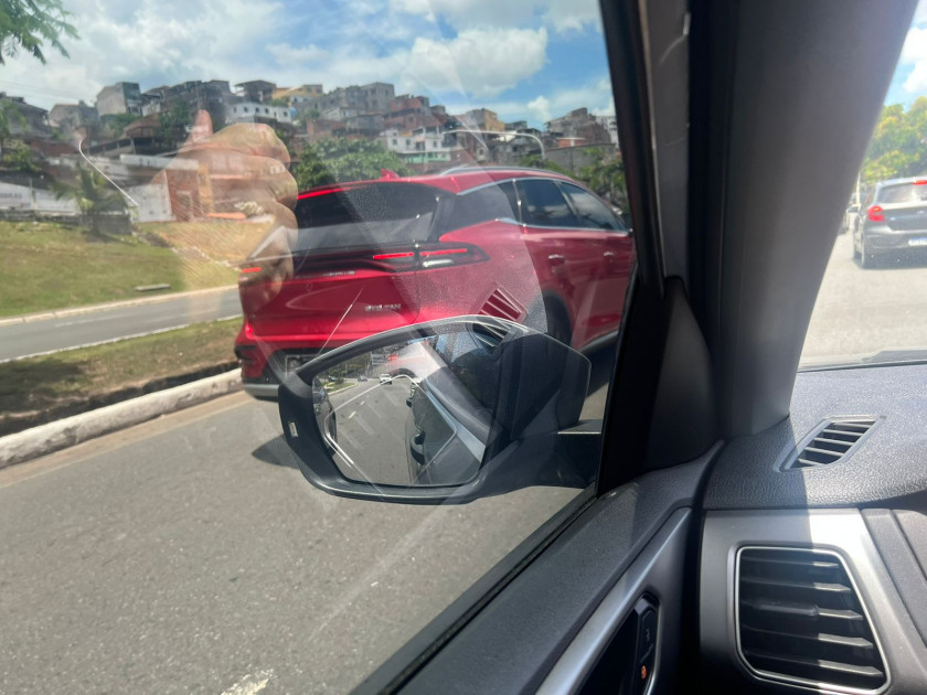 Macaque in the trees