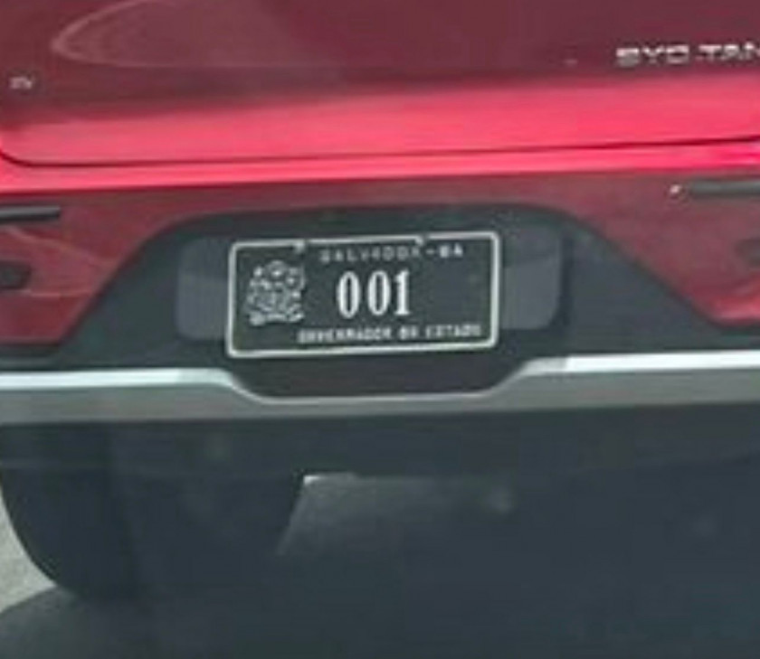 Macaque in the trees