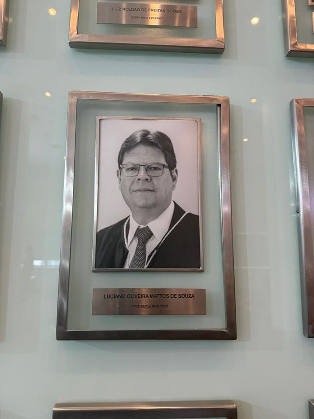 Macaque in the trees