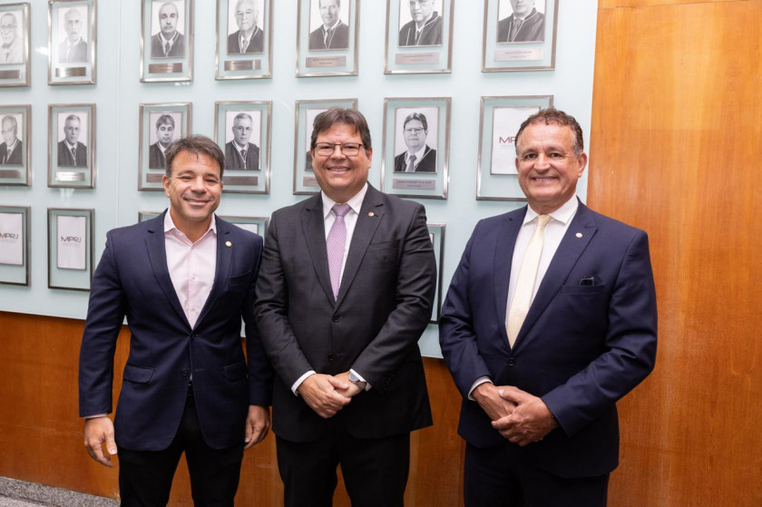 Macaque in the trees