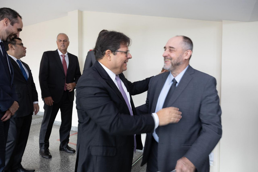 Macaque in the trees