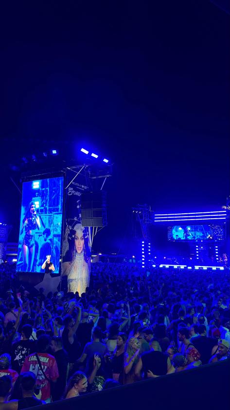 Macaque in the trees