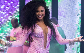 Reflex&otilde;es sobre a folia