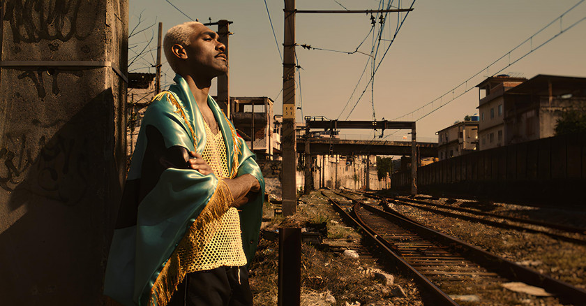 Macaque in the trees