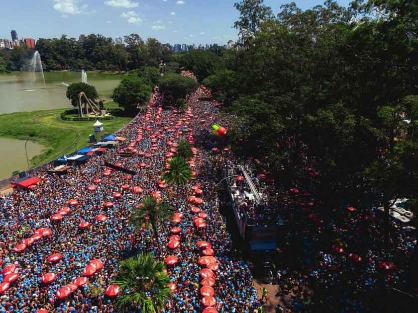 Macaque in the trees
