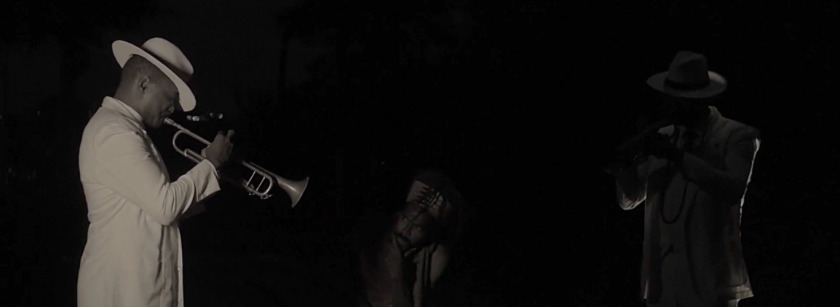 Macaque in the trees