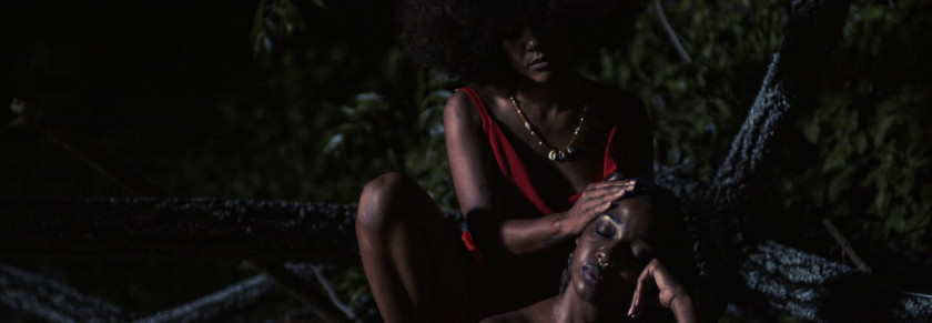 Macaque in the trees