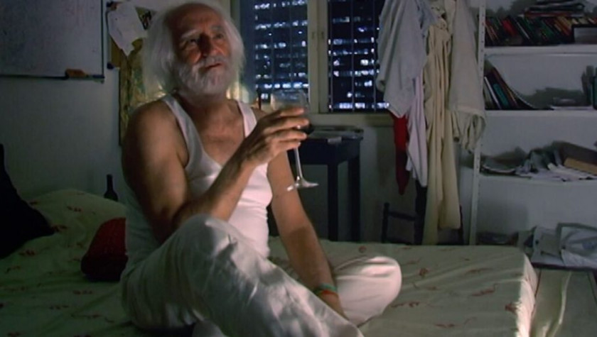 Macaque in the trees