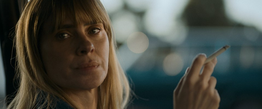 Macaque in the trees