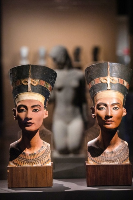 Macaque in the trees