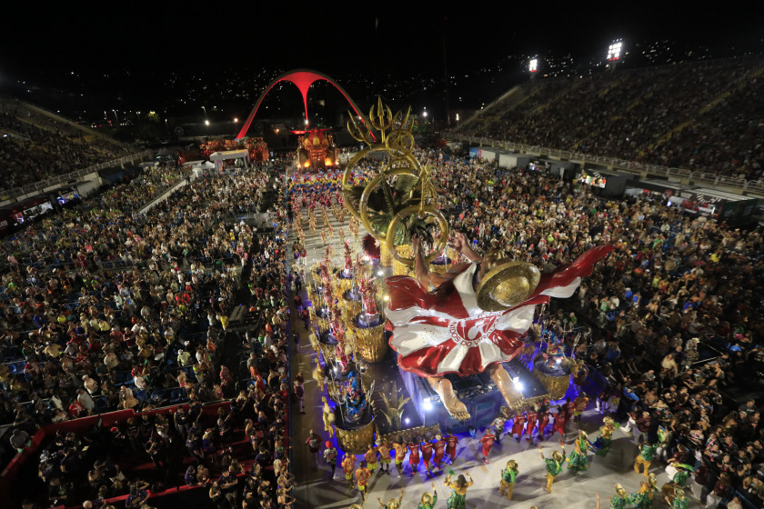 Macaque in the trees