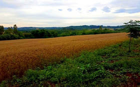 RS: &aacute;rea &eacute; desapropriada para reforma agr&aacute;ria em Vit&oacute;ria das Miss&otilde;es