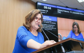 C&acirc;mara de Campinas debate Lei de Cotas e inclus&atilde;o no trabalho