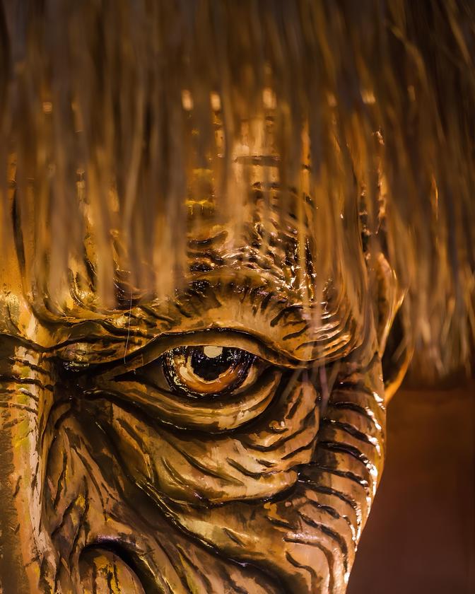 Macaque in the trees