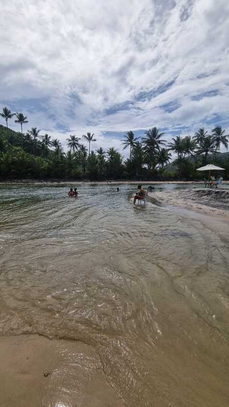 Macaque in the trees