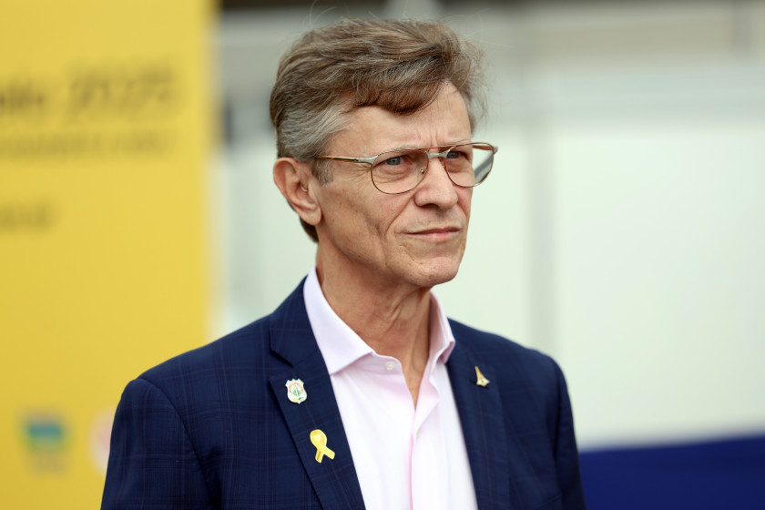 Macaque in the trees